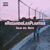 Julio Del Hoyo - #RegandoLasPlantas - Single